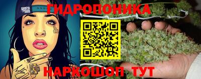 гидропоника Шебекино