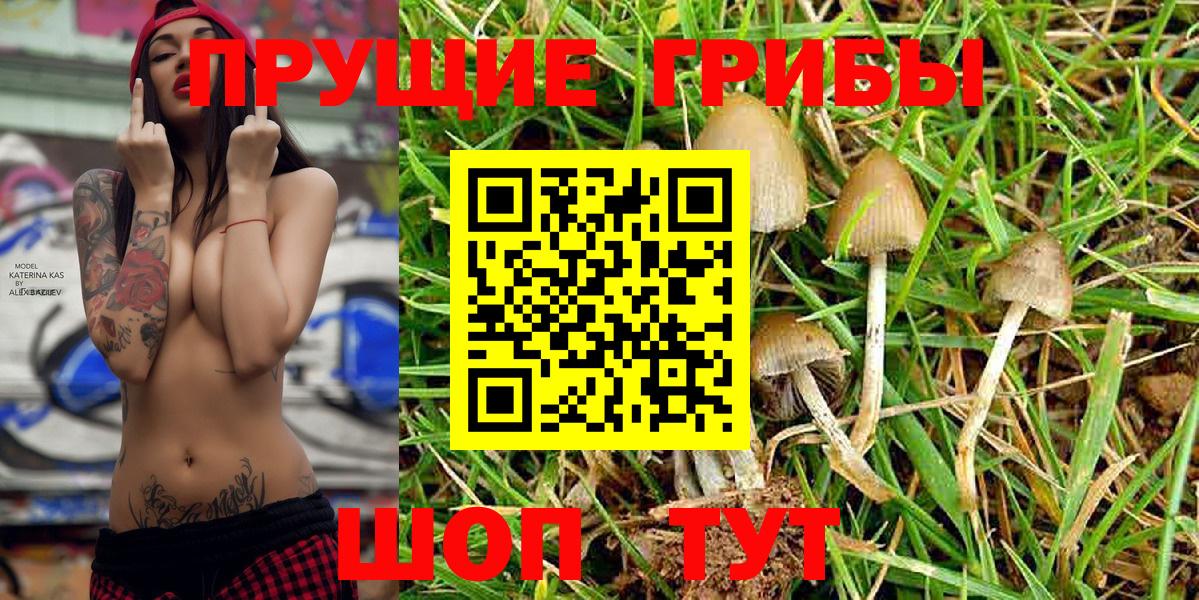 Псилоцибиновые грибы Magic Shrooms Нягань