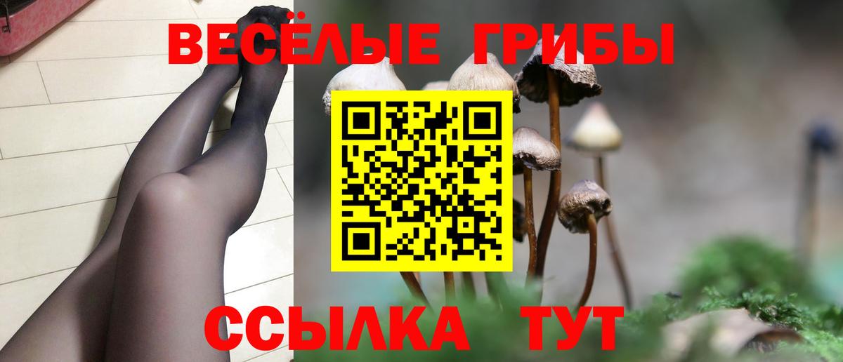 Нягань  как найти   Вход с VPN  Галлюциногенные грибы Magic Shrooms 